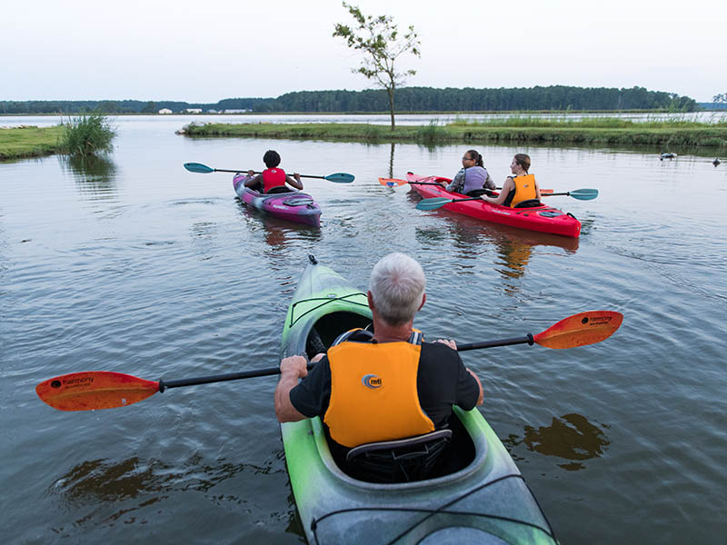 Paddling kayaks at Blackwater Adventures - Photo courtesy Maryland Tourism