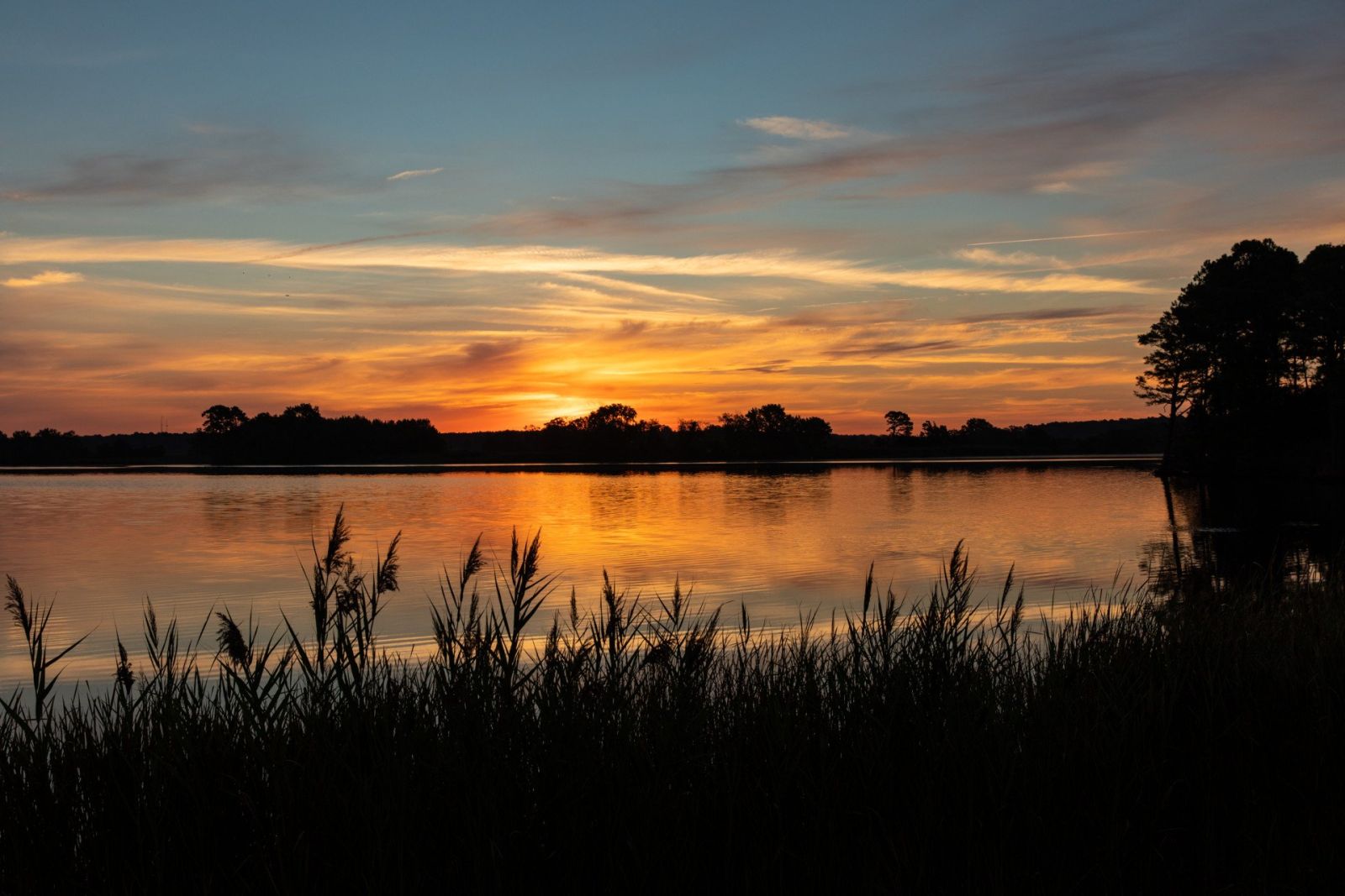 Sunrise at Blackwater National Wildlife Refuge. Photo by Jill Jasuta. | Dorchester County, MD