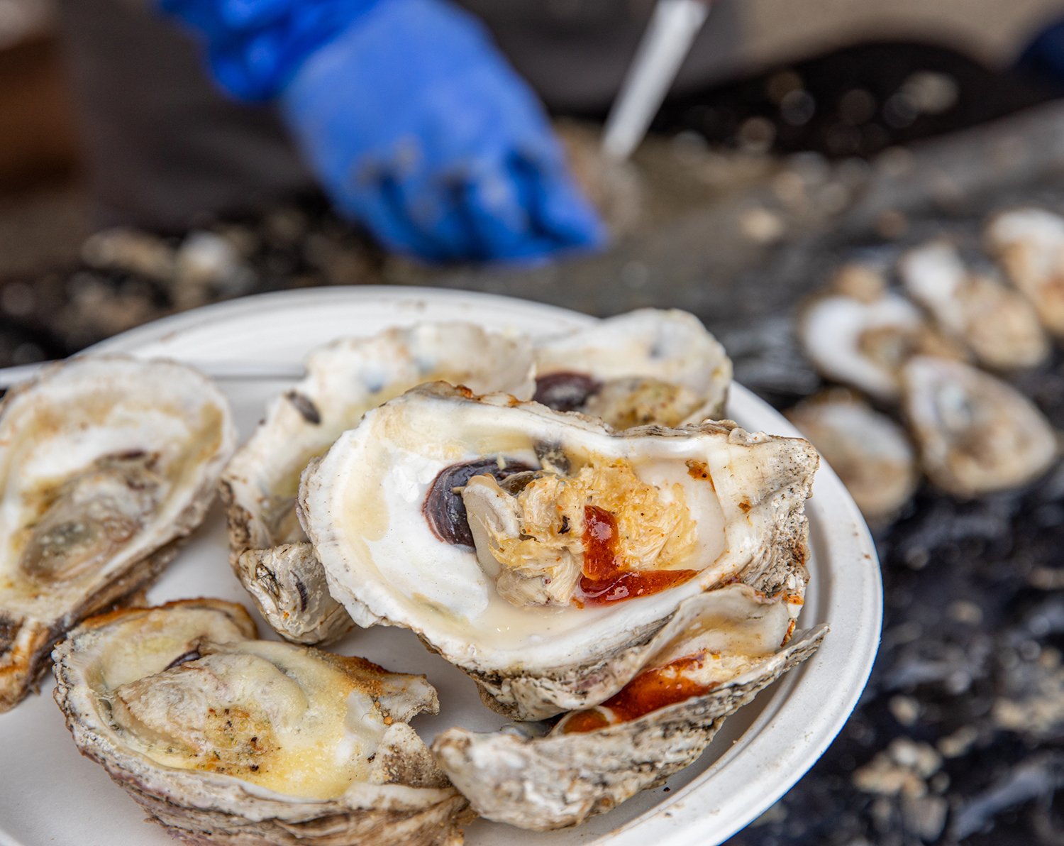 Oysters at Cambridge Ice & Oyster Festival - Dorchester County, MD | Photo by Jill Jasuta 2560