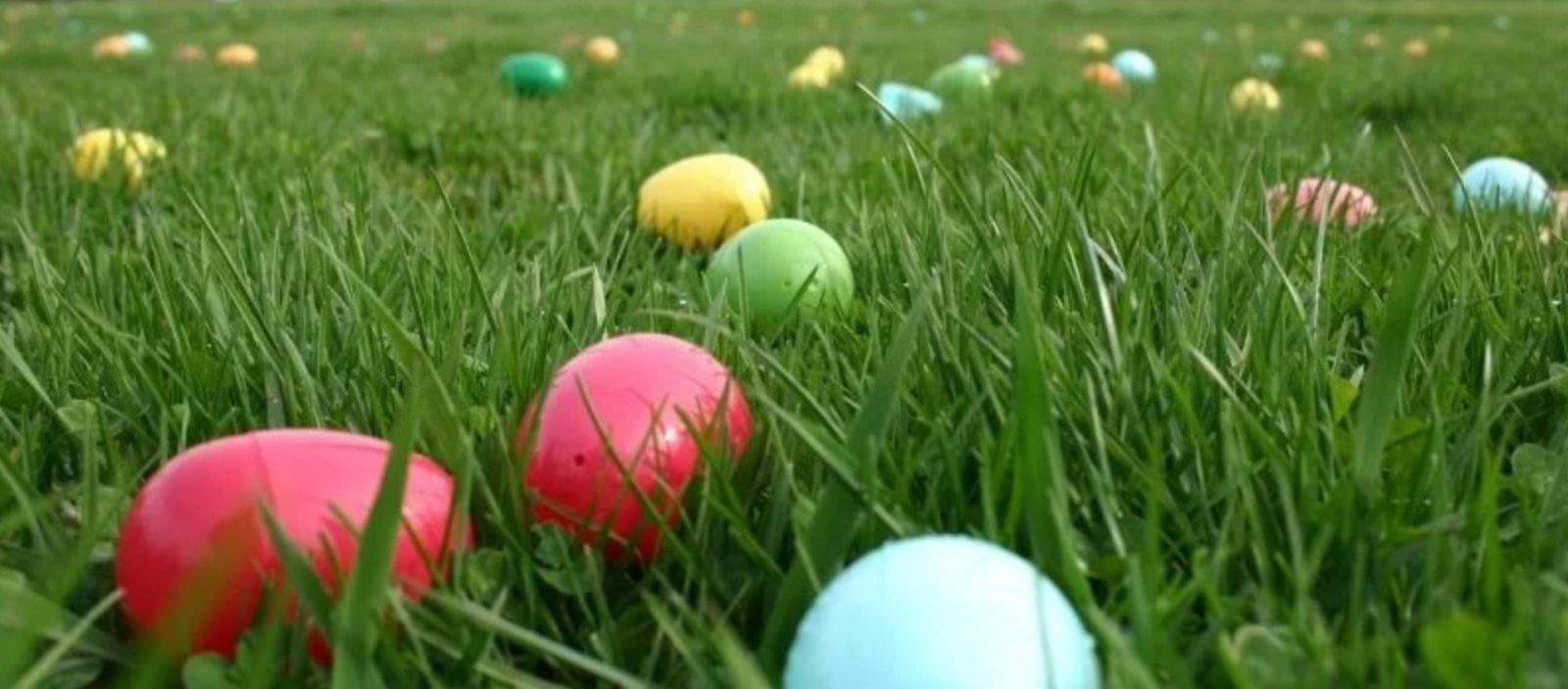 Easter Egg Hunt