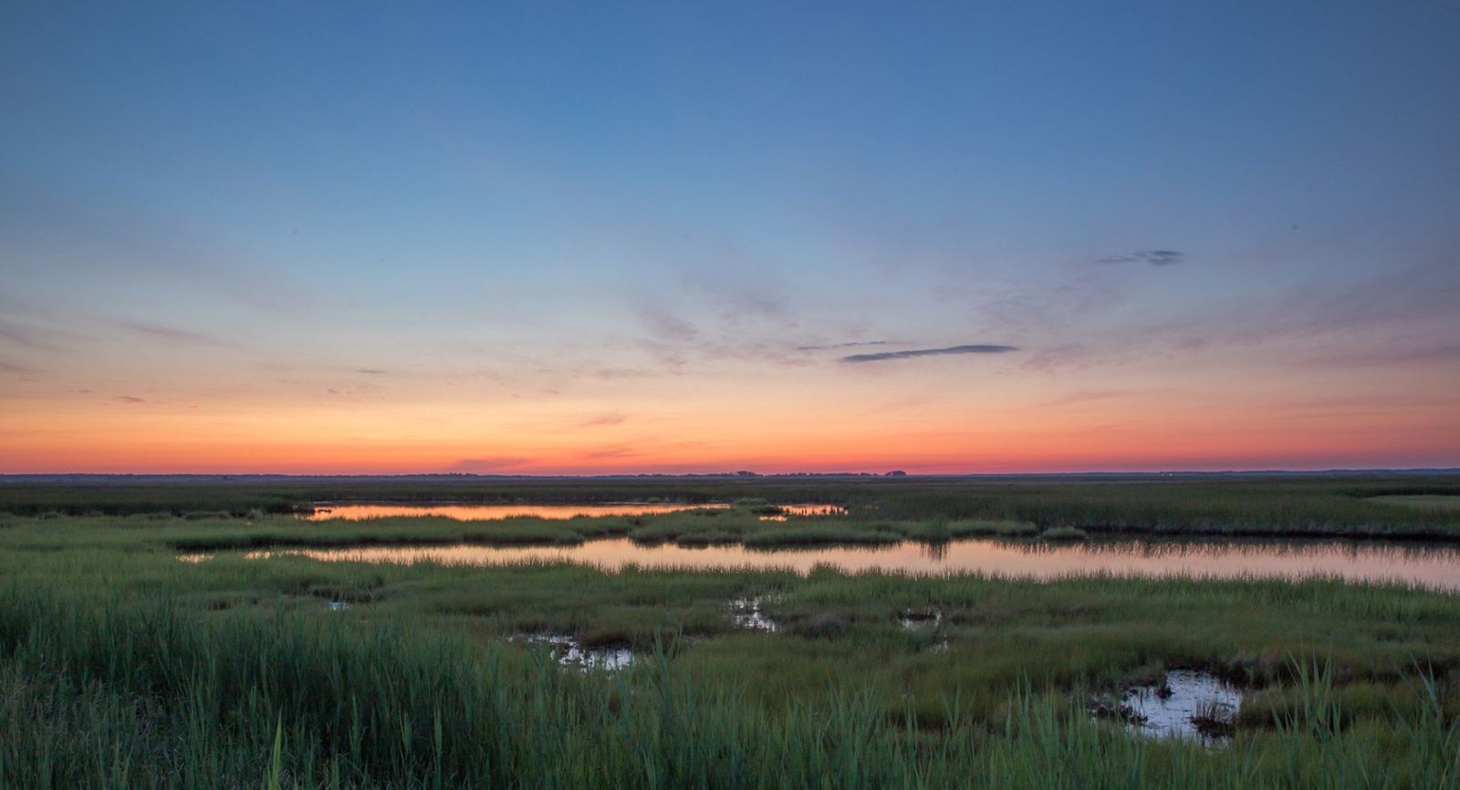 Elliotts Island Road at Sunrise - Dorchester County, MD - Photo by Jill Jasuta