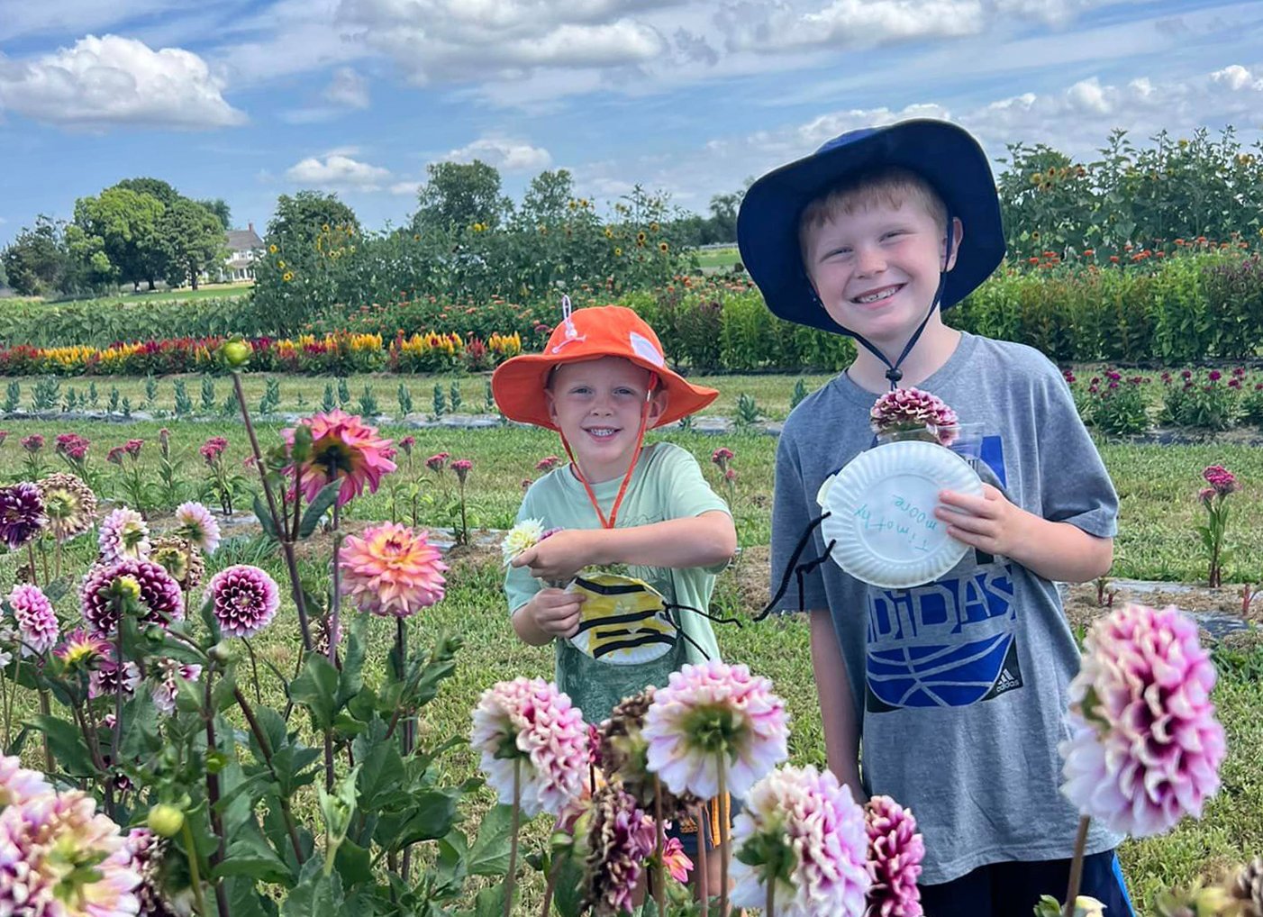 U-Pick Flowers at Emily's Produce in Cambridge, Maryland. Photo courtesy Emily's Produce. | Dorchester County, MD