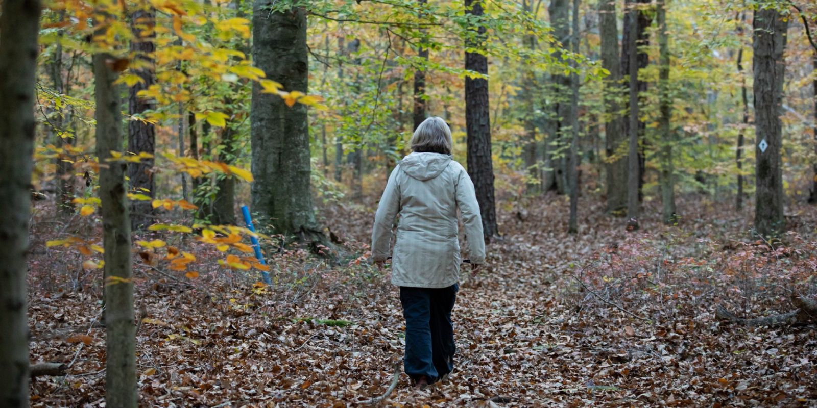Hiking at Blackwater National Wildlife Refuge - Dorchester County, MD