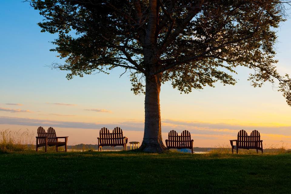 A relaxing view at Hyatt Regency Chesapeake Bay Resort in Cambridge, Maryland. Photo courtesy Hyatt. | Dorchester County, MD