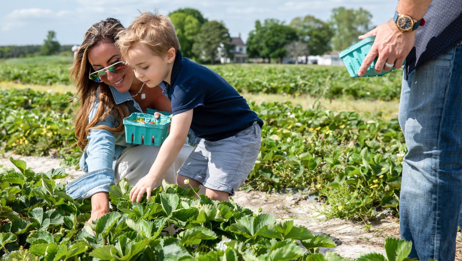 Berry picking at Emily's Produce in Dorchester County, MD