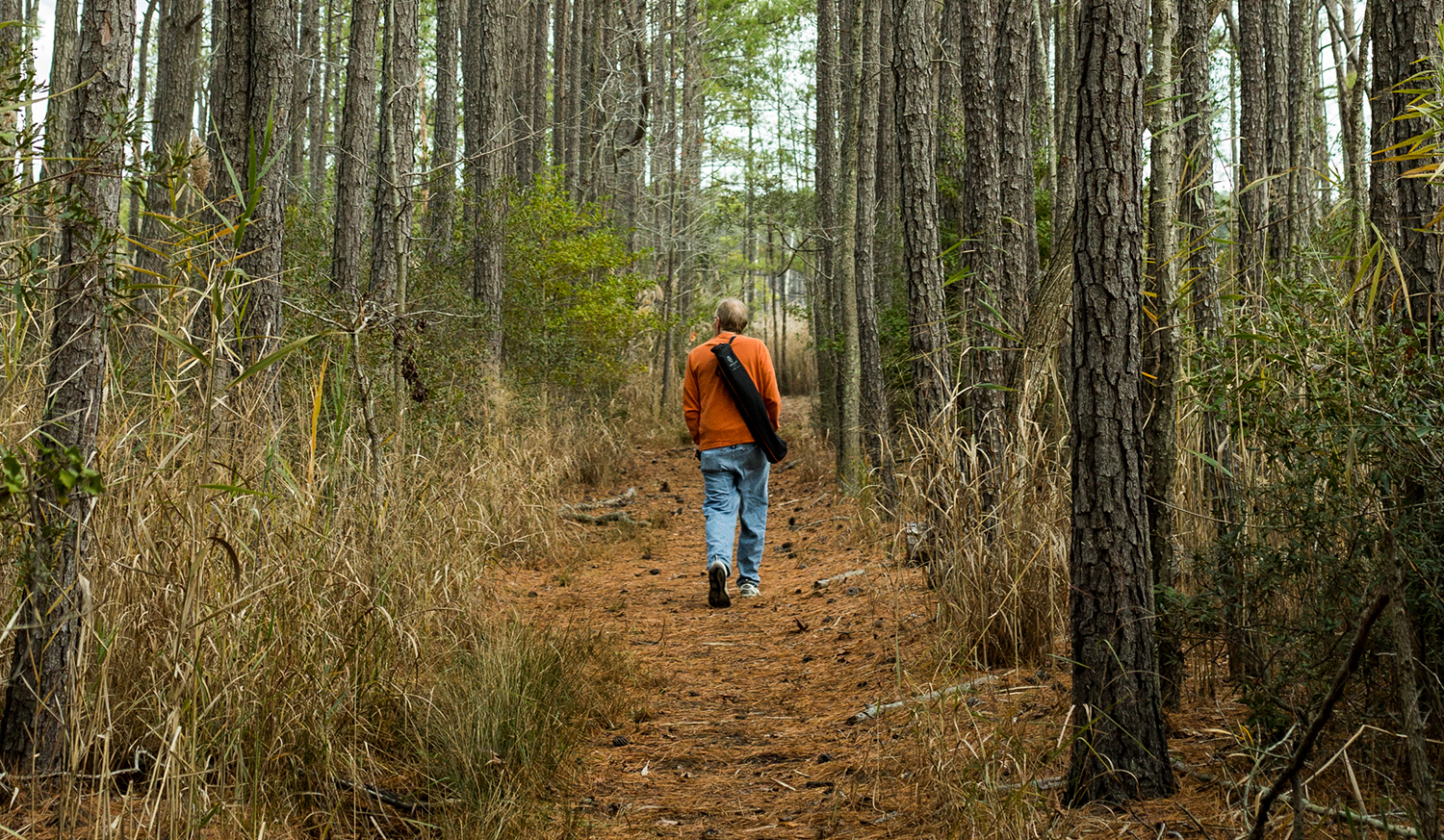 Hiking at Robinson Neck Preserve
