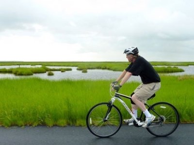 Transportation & Delivery