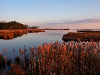 Blackwater Wildlife Refuge