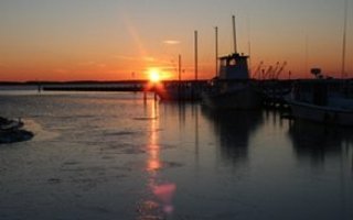 Elliott Island