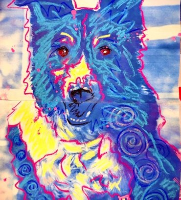 Pet Portrait Cyanotype Workshop with 3ten Art Gallery