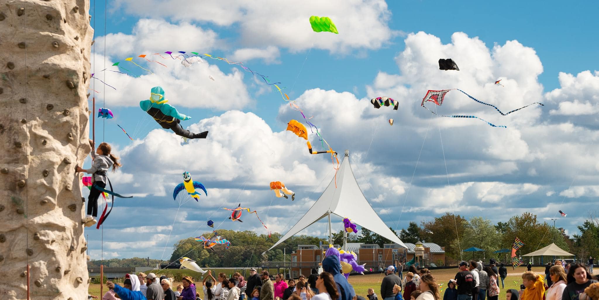 Kite Festival at Sailwinds Park