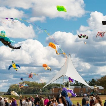 Kite Festival at Sailwinds Park