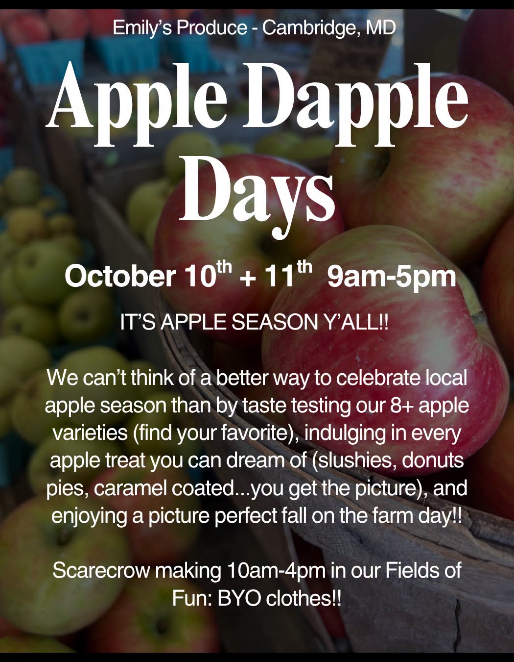 Apple Dapple Days at Emily's Produce