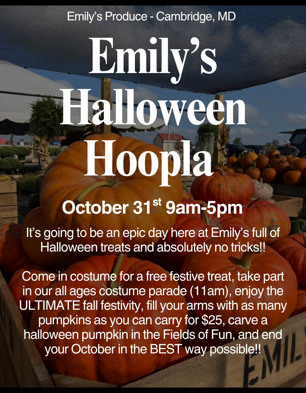 Emily's Produce Halloween Hoopla