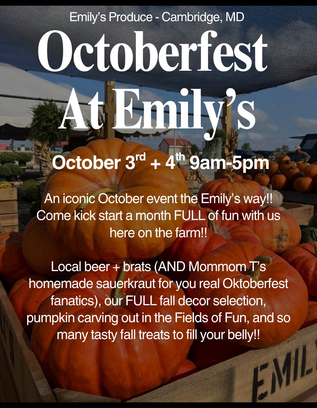 Oktoberfest at Emily's Produce