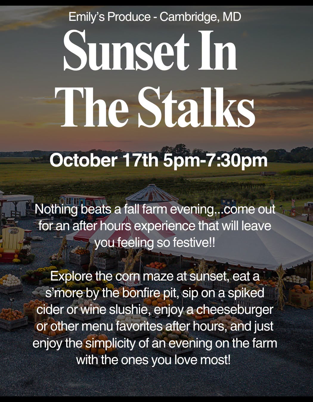 Sunset in the Stalks