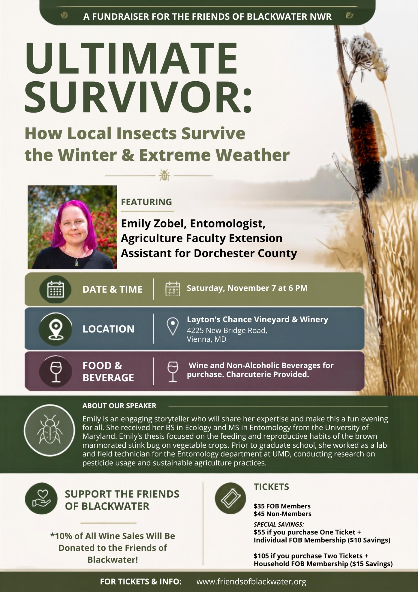 Ultimate Survivor:  How Local Insects Survive the Winter & Extreme Weather