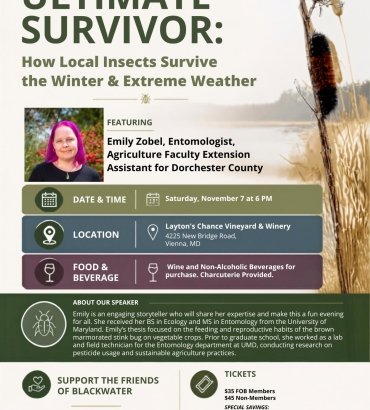 Ultimate Survivor:  How Local Insects Survive the Winter & Extreme Weather