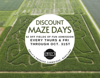 Discount Maze Days Discount Maze Days