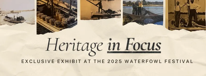 Heritage in Focus: Exclusive Exhibit at the 2025 Waterfowl Festival