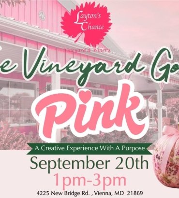 The Vineyard Goes Pink