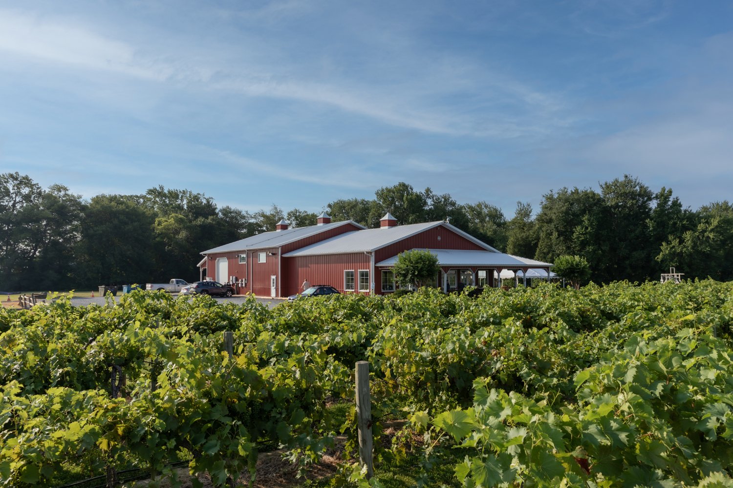 Layton's Chance Winery's Sweet 16 Birthday Bash