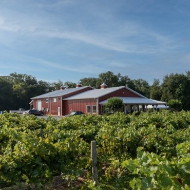 Layton's Chance Winery's Sweet 16 Birthday Bash