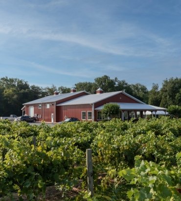 Layton's Chance Winery's Sweet 16 Birthday Bash
