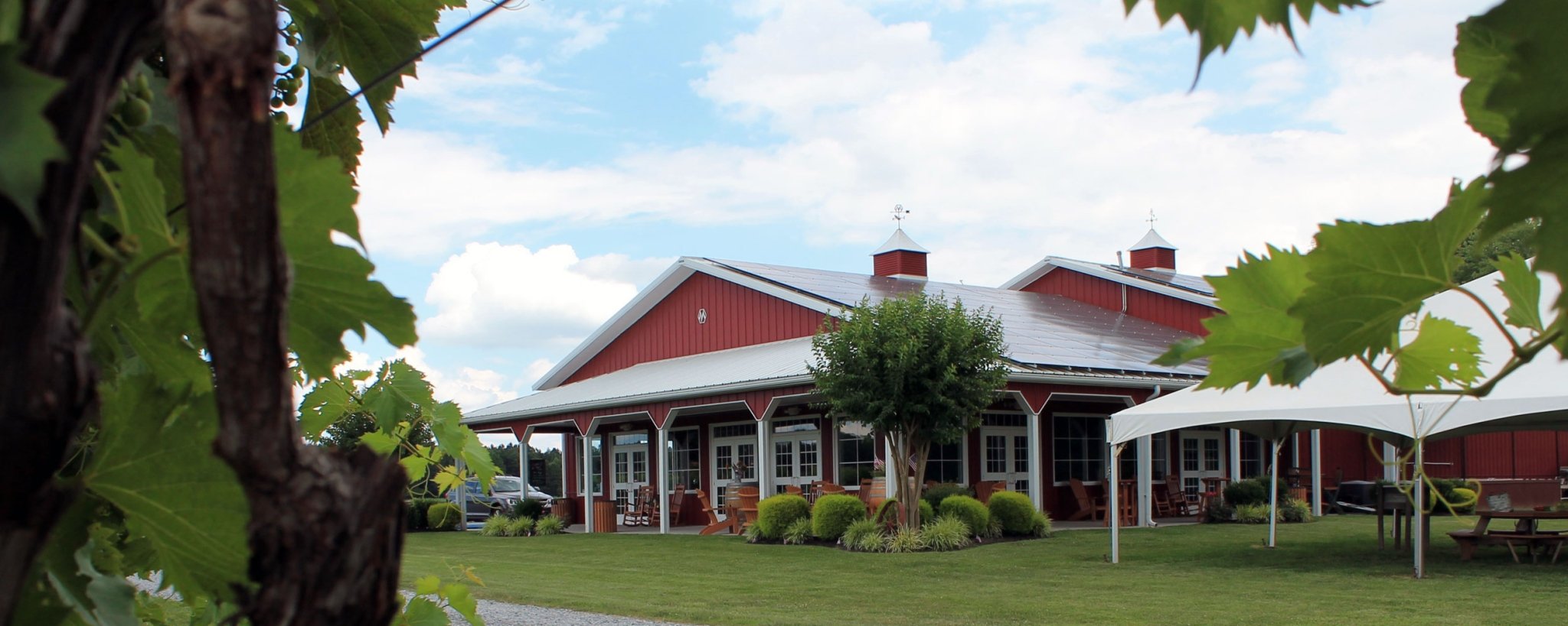 Harvest Festival at Layton's Chance Winery