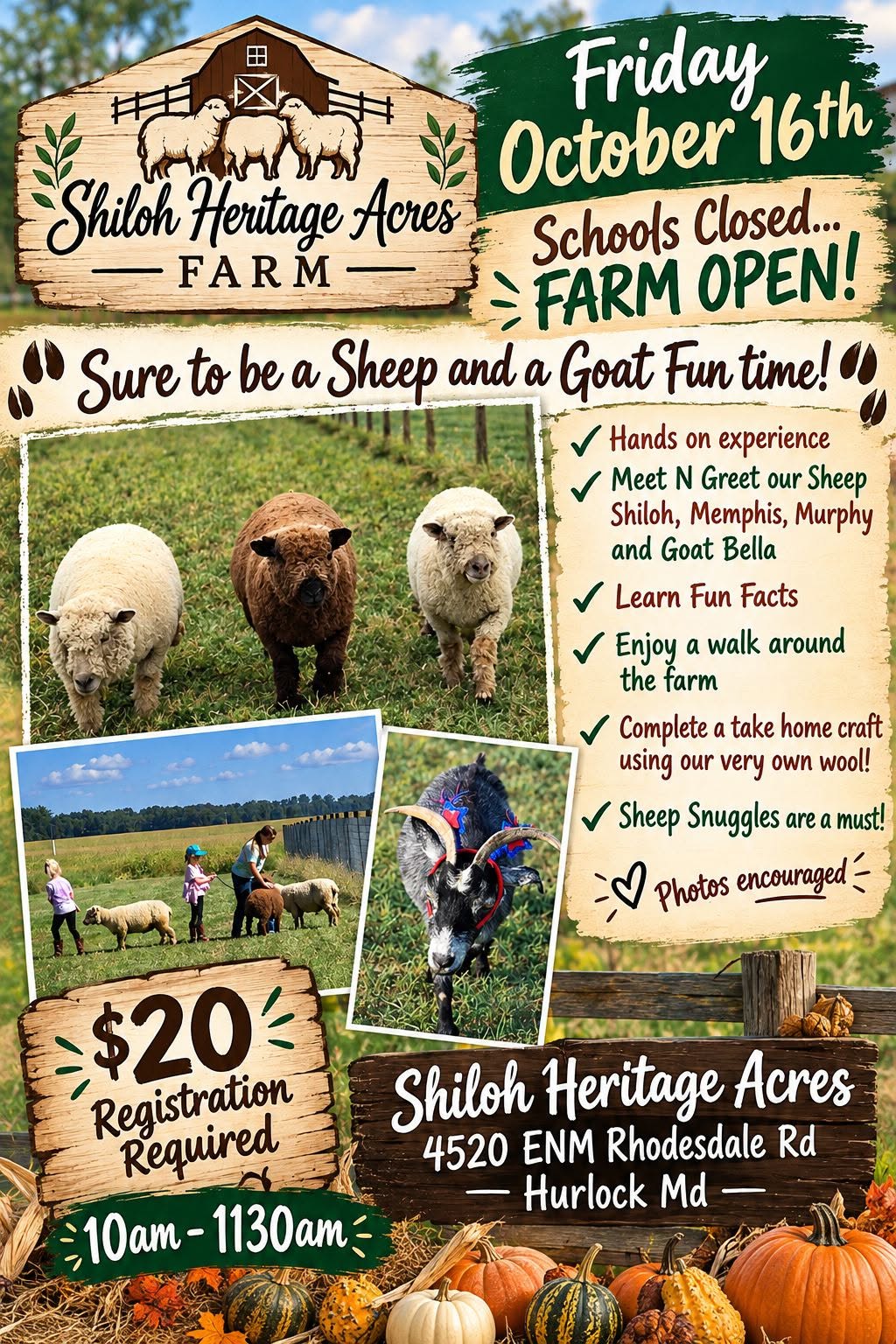Meet N Greet at Shiloh Heritage Acres