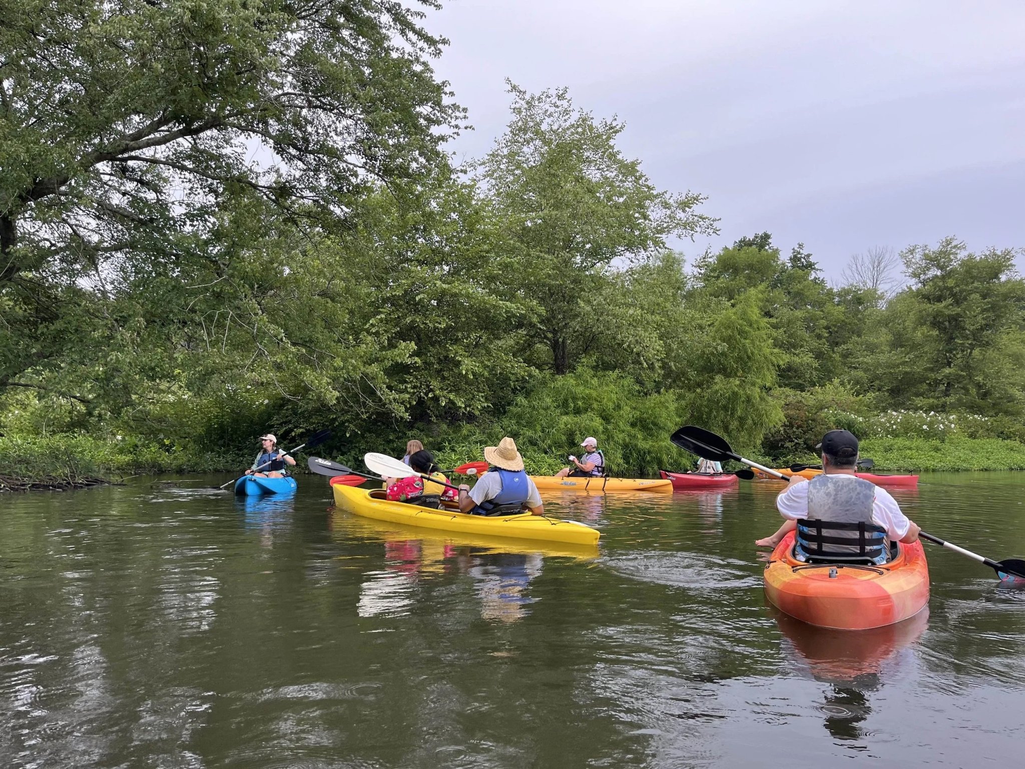 Expedition: Kayak with the Choptank Riverkeeper