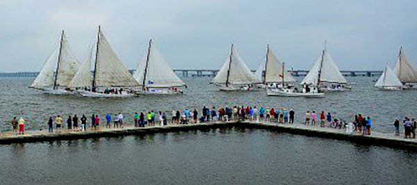 Gift Card Bingo to Benefit Skipjack Nathan