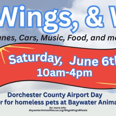 Wags, Wings & Wheels