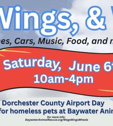 Wags, Wings & Wheels
