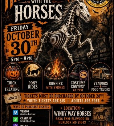 Halloween with the Horses