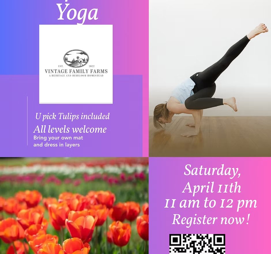 Yoga & Tulips
