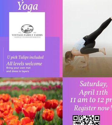 Yoga & Tulips