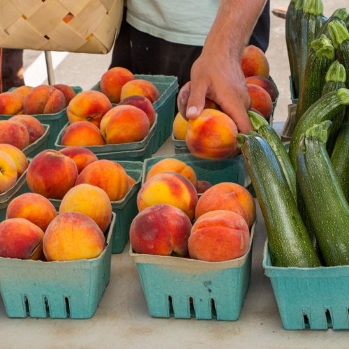 Cambridge Farmers Market