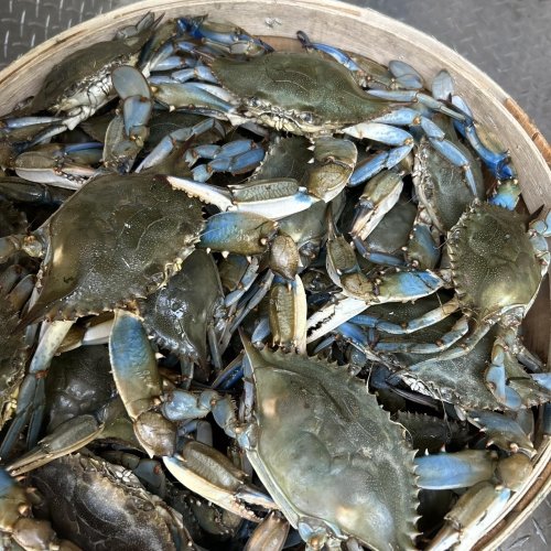 Choptank River Crab & Oyster CO.