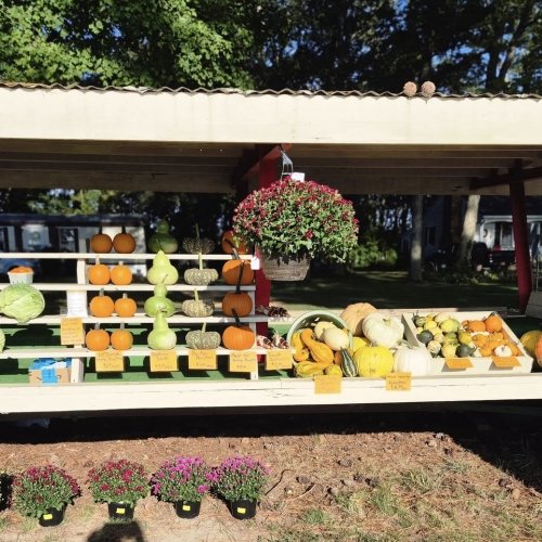 Shiloh Heritage Acres