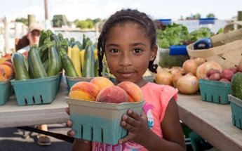 Cambridge Farmers Market