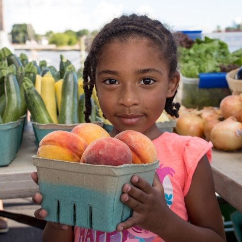 Cambridge Farmers Market