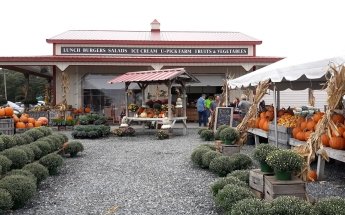 Emily's Produce