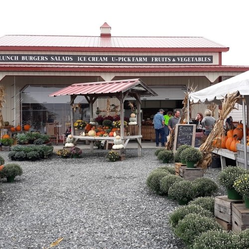 Emily's Produce