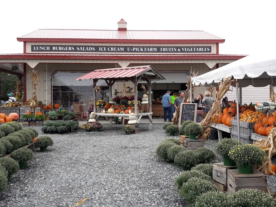 Emily's Produce