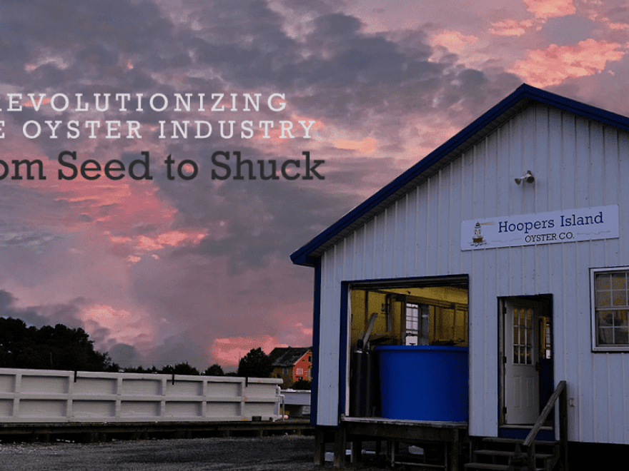 Hoopers Island Oyster Co.