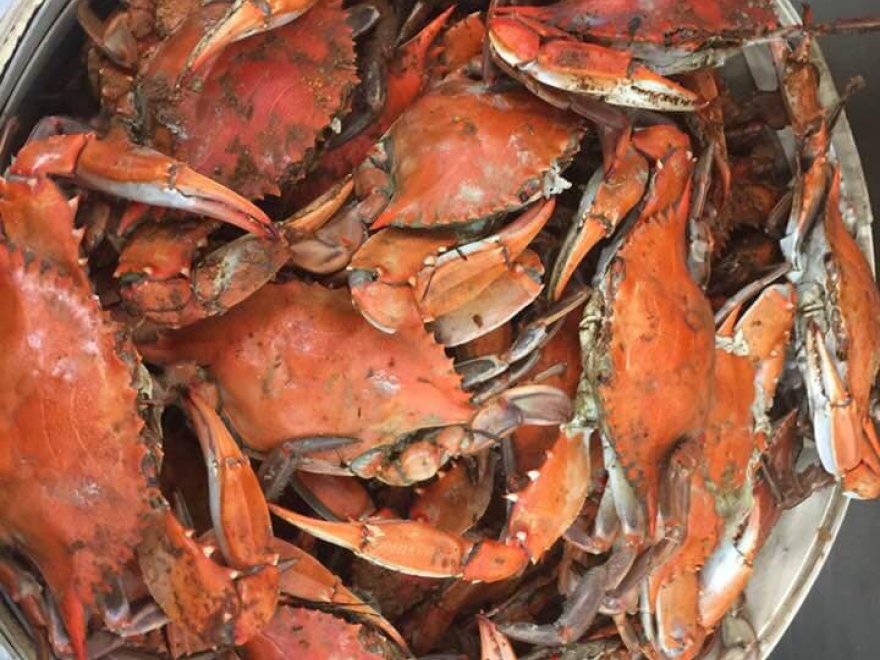 KOOL Ice & Seafood Co