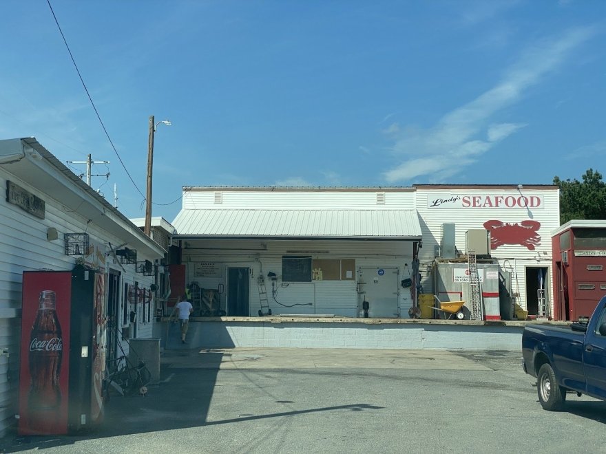 Lindy's Seafood