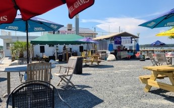 Palm Beach Willies