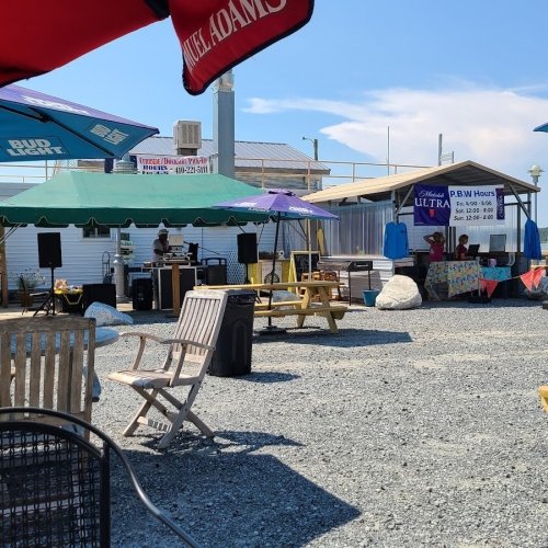 Palm Beach Willies